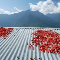 12031_439208556145323_1470178675_n_439208556145323