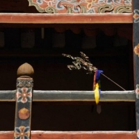 14505_439204622812383_1093506744_n_439204622812383