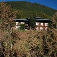 16195_439205842812261_555362758_n_439205842812261