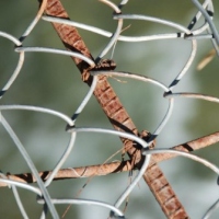 18800_439205256145653_958264033_n_439205256145653