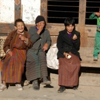 197979_439209269478585_473069034_n_439209269478585