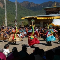 205111_439205976145581_699505134_n_439205976145581