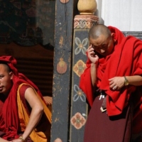 205184_439204649479047_416668951_n_439204649479047