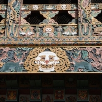 222384_439208966145282_1390400407_n_439208966145282