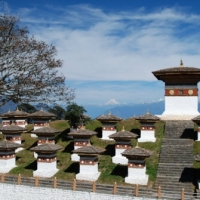 225917_439205499478962_1720808759_n_439205499478962