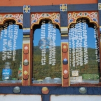 23738_439206846145494_2089489816_n_439206846145494