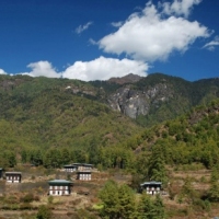 251133_439204806145698_202392501_n_439204806145698