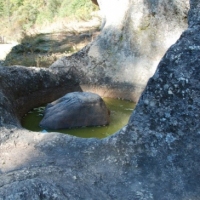 252353_439208046145374_213292459_n_439208046145374