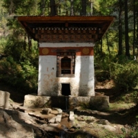 262601_439204822812363_192284853_n_439204822812363