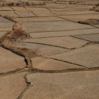 268354_439204602812385_307815938_n_439204602812385