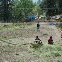 27995_439209889478523_805311974_n_439209889478523