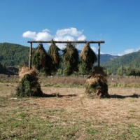 29566_439207466145432_1892026979_n_439207466145432