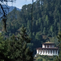 301283_439209909478521_1500680186_n_439209909478521