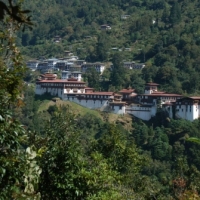 302730_439208886145290_1817986293_n_439208886145290