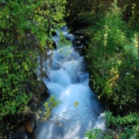 302801_439208282812017_1753667176_n_439208282812017