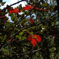 31551_439204949479017_1749743743_n_439204949479017