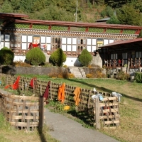 318346_439205652812280_225071461_n_439205652812280