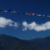 336306_439187632814082_777870624_o_439187632814082