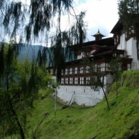 375386_439210592811786_1197680744_n_439210592811786