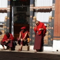 375481_439204672812378_981930205_n_439204672812378