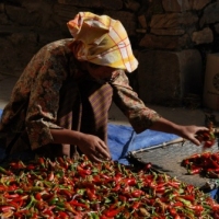 375483_439205212812324_514624_n_439205212812324