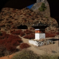 380246_439205156145663_328676217_n_439205156145663