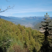 385121_439205629478949_391029879_n_439205629478949