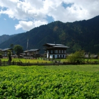 401727_439209112811934_906683825_n_439209112811934