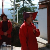 403409_439210136145165_674470969_n_439210136145165