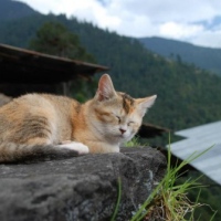 403485_439210542811791_351996163_n_439210542811791