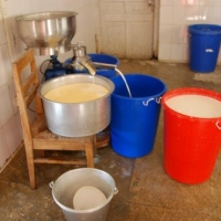 406713_439207706145408_300102823_n_439207706145408