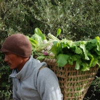 424861_439208076145371_1408094878_n_439208076145371