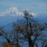 424886_439205359478976_841973206_n_439205359478976