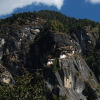 432245_439204889479023_670761578_n_439204889479023