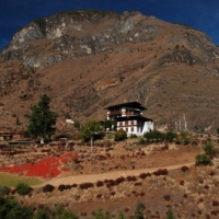 432285_439205279478984_788148718_n_439205279478984