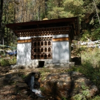 44578_439204866145692_1087249883_n_439204866145692