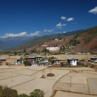 45324_439204592812386_783928250_n_439204592812386