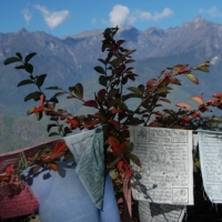 458825_439187529480759_266481920_o_439187529480759