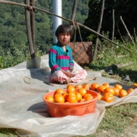 487077_439209482811897_1621645585_n_439209482811897