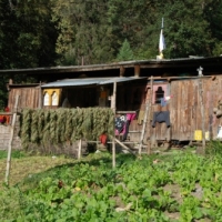 523680_439209892811856_825374274_n_439209892811856