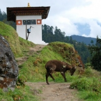 523897_439210612811784_1435852235_n_439210612811784