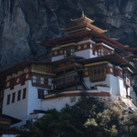 530428_439205089479003_1657609934_n_439205089479003