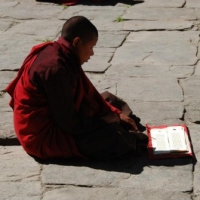 537732_439207936145385_1754175439_n_439207936145385