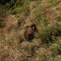 556811_439208719478640_1028464138_n_439208719478640