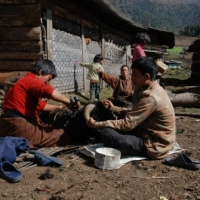 561086_439209006145278_1308702306_n_439209006145278