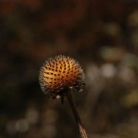 561147_439208099478702_651099301_n_439208099478702