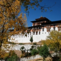 577786_439204716145707_696310704_n_439204716145707