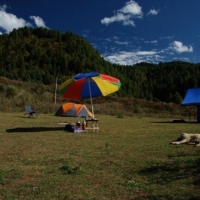 577821_439208402812005_477284818_n_439208402812005