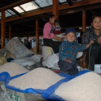 577937_439210482811797_544630266_n_439210482811797