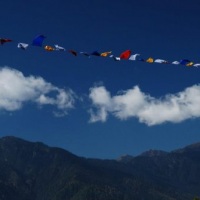 61450_439205092812336_1452581342_n_439205092812336